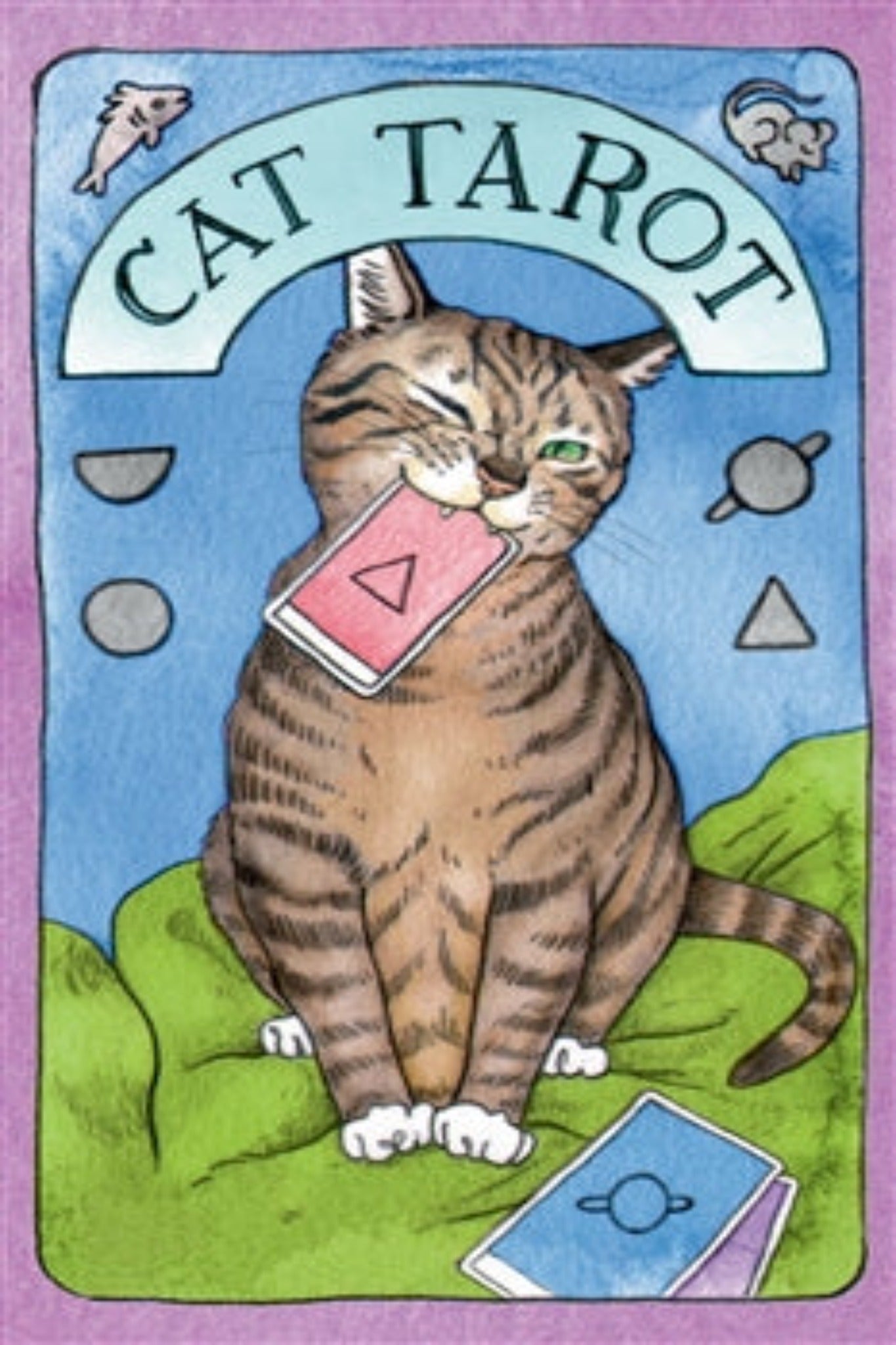 Cat tarot : 78 cards and guidebook